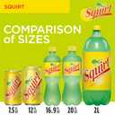 Squirt Soda, Grapefruit, 12 Fl Oz Cans, 12 Pack