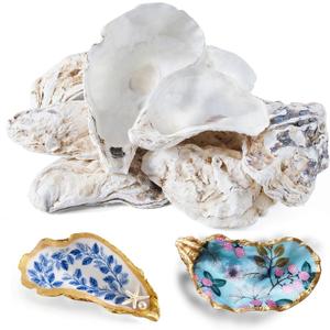 12 Pcs Natural Oyster Shells for Crafts, 5-6 inch Extra Large Seashells for Crafting, Shell Painting, Beach Wedding & Christmas Decor, Vase Filler, DIY Home Decor, Craft Shells