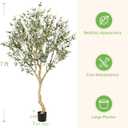 Realead 7FT Olive Trees Artificial Indoor - Tall Faux Olive Tree 7 Feet with Realistic Leaves and Natural Wood Trunk - Potted Fake Olive Tree for Modern Home Office Living Room Floor Decor Indoor