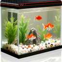 5 Gallon Fish Tank, Glass Aquarium Starter Kits, Self-Cleaning Water Pump & 3-Color Light with Water Temperature Detection for Betta Shrimp Guppy Jellyfish Goldfish Beta, Gift for Room Decor Kid