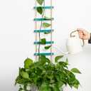 Blue Chain Trellis for Climbing Plants Indoor - Durable Natural Wood Design for Pothos and Ivy Support - Decorative Decorative Wall Feature for Home and Garden