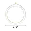 (2pack) 4.75 T4 Type 12W 6400K Circular Bulb Replacement for Magnifier Desk Light,Vanity Magnifying Makeup Mirror,Daylight 6500K Fluorescent Lamp