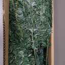 6 FT Pre-lit Christmas Tree Spruce with Remote Control, 300 Warm White Multi-Color Changing LED Lights, Artificial Hinged/Feel Real/Realistic for Home, Holiday Decoration Dual Color LED (Green Green)