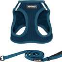 Best Pet Supplies Voyager Step-in Air All Weather Mesh Harness and Reflective Dog 5ft Leash Combo with Neoprene Handle, for Small, Medium and Large Breed Puppies - Set (Blue), X-Small