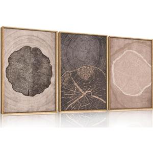HOURIA Neutral Brown Tree Rings Framed Canvas Wall Art Set,Modern Beige Tan Wood Stump Wall Decor,Vintage Abstract Tree Spiral Art Print,Nature Black Artwork for Living Room,Bedroom,Office- 16"x24"x3