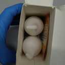 Hompavo Upgraded LED Flame Light Bulbs, 3 Modes Flickering Light Bulbs, E26 Candle Fire Light Bulb for Christmas Halloween Party Porch Indoor & Outdoor Home Decoration - 2 Pack (Yellow)