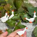 Tiny Garden Goose Fairy Garden Accessories Miniature Figurine Decoration for Micro Landscape Terrarium- 18 pcs Geese