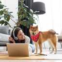 Dog Bandanas for Boys and Girls, Dog Birthday Bandana - Handmade Premium Quality Adjustable Neck Scarf for Medium & Large Breed Dogs(Red Valentine's Day)