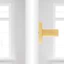 Kwikset Singapore Dummy Door Handle, Single Sided Lever for Closets, French Double Doors, and Pantry, Satin Brass Non-Turning Reversible Interior Push/Pull Lever, with Microban Protection (1 Pack)