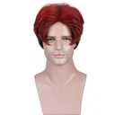 Black Red Wigs for Men Boy Short Ombre Black Red Wig Heat Resistant Synthetic Wigs for Cosplay Costume Party