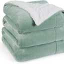 Bedsure GentleSoft Sherpa Fleece Blanket Queen Size for Bed, Non-Heated, Thick and Warm Throw for Women and Men, Soft Fuzzy Plush Queen Blanket for Spring, Sage Green, 90x90 Inches