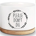I Will Survive- Funny White Succulent Pots Home Kitchen Office Decor, Funny Mini Pot Desktop Decor, Friendship Gift for Plant Lover, Succulent Flower Pot, Cute Pots for Plants
