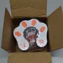 Cat Ball Adventure The Ultimate Interactive Mental & Physical Exercise for Indoor Cats