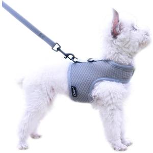 Small Dog Harness and Leash Set Small Pet Harness for Summer, Adjustable Soft Padded Dog Vest for Poodle, Pomeranian, Chihuahua, Minlature Pinscher Under 10LBS, Solid Grey Mesh Fabric, L