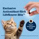 Blue Buffalo Baby Blue Natural Grain-Free Dry Food for Kittens, Healthy Growth Formula with DHA, High-Protein Savory Chicken Recipe, 4.5-lb. Bag (EXP 02/14/27)