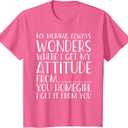 Funny Attitude T-Shirt Got It from My Momma Toddler Kids Tee T-Shirt, 2T