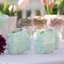 Plastic Cups - Standard - Bulk Pack, Case Pack of 192 - For Parties, Catering & Events, Small