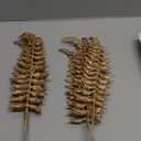 Yunsailing 16 Pcs Christmas Picks Sprays Glitter Leaves for Xmas Tree Decorations Artificial Spray Picks Branches Sprays DIY Bouquet Stem Floral Branches for Christmas Tree Vase Home(Champagne)