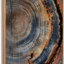 IBHJSART Framed Tree Ring Canvas Wall Art Vintage Colorful Wood Stump Painting Prints Modern Minimalist Pictures Neutral Nature Rustic Farmhouse Decor Living Room Bedroom Bathroom Office (12"x16" Natural)