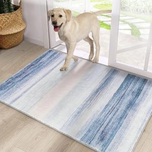 CRISTGEE Door Mat, Front Indoor Door Mat Faux Wool Non-Slip Entryway Rug Absorbent Abstract Throw Rug for Indoor Entrance Hallway Laundry Room, High Traffic Areas, 24X36 Inches, Blue Washable