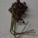 3 Pcs Fall Artificial Soft Plum Sedum Berry Stem Autumn Faux Berry Picks Branches Faux Spray for Home Halloween Thanksgiving Farmhouse Mantel Harvest DIY Decorations (16 Inch)