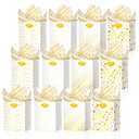 Ranfashiong 12 Pcs Sets 4.7”x4“x2.3” Small Bag with Tissue Paper Mini Gift Bags with Handles for Christmas, Birthday, Wedding, Baby Shower (White)
