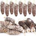 JOHOUSE 18PCS Snow Pinecone Ornaments, Large Spruce Pinecones Hanging Pinecones for Decorating Natural Pine Cones for Christmas Tree Hanging Decoration, Winter Vase Filler