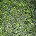 12 Pack 20x20 Fake Turf Mats Anti-UV Evergreen Hedge Backdrop Cover