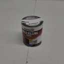 MOLD KILLING PRIMER QT (Pkg of 3)