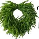 24 Inch Heart Shaped Norfolk Pine Wreath with 15 Inch Black Hanger