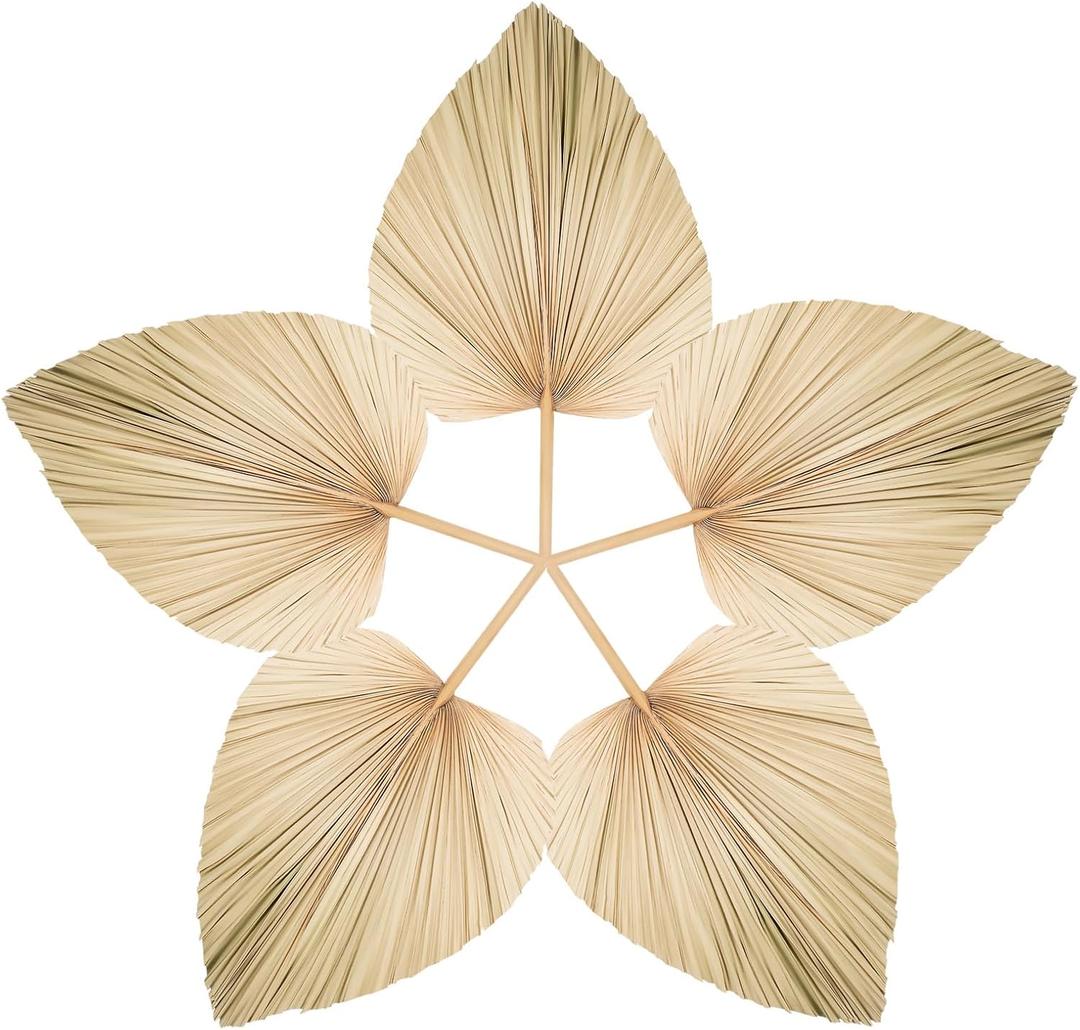 5 Pcs Large Natural Boho Dried Palm Leaves Fans with Stem, Natural, Tropical Palm Flowers Bouquet Boho Wedding Decor for Vase, Baby Shower, Anniversary, Home