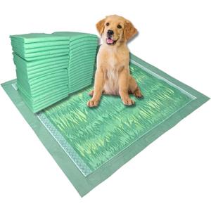 Dog & Puppy Pads Pet Potty Training Pad - Large Disposable Wee Wee Pads for Dogs - Grass Design & Scent - Super Absorbent & Leak Proof Doggy Piddle Pee Pads for Pets - 40 Count - 24x24