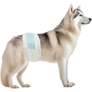 BV Dog Diapers Male Large (Waist 21-26in) Super Absorbent - 50 Count Disposable - Doggie Diapers with Wetness Indicator - Adjustable Male Dog Wraps - Ideal for Incontinence/Training