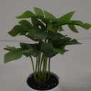 Artificial Leaf Simulation Pot Plant Realistic Looking Not Wither Geometric Shape Potted Unfading Maintenance Free Decorate Exquisite Details Fake Plant Leaf