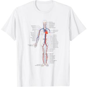 Circulatory System Anatomy Chart Arteries Veins T-Shirt (Small)