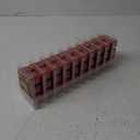 Candle-Lite Apple Cinnamon Crisp 10 Pack