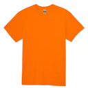 Gildan Women's Softstyle Cotton T-Shirt, Style G64000l, Multipack (X-Large, Irish Green (2-pack))