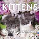 5 x Kitten Calendar 2026 Cat Kitty Gifts Monthly Wall Calender 12 Month | American Made In The USA
