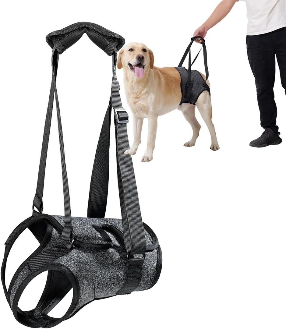 Dog Halter Harnesses, Adjustable Lift Hanress For Large Dogs, Dog Sling For Medium Dogs Hind Leg Support To Help Rehabilitate, Soft Padded Dog Support Harness For Elderly, Injured, Arthritic(Small)