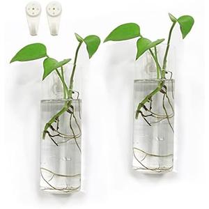 Amazon.com: Bunhut Wall Planters for Indoor Plants,Wall Hanging Terrarium Planters,Glass Wall Planters for Floral Arrangement,Hanging Plant Holder, Wall Vase,Wall Mounted Planters (2 Glass Wall Planter) : Patio, Lawn & Garden