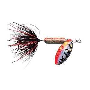 Wordens Rooster Tail Lure, 1/16-Ounce, Tinsel Nightmare Tiger 2 Pack