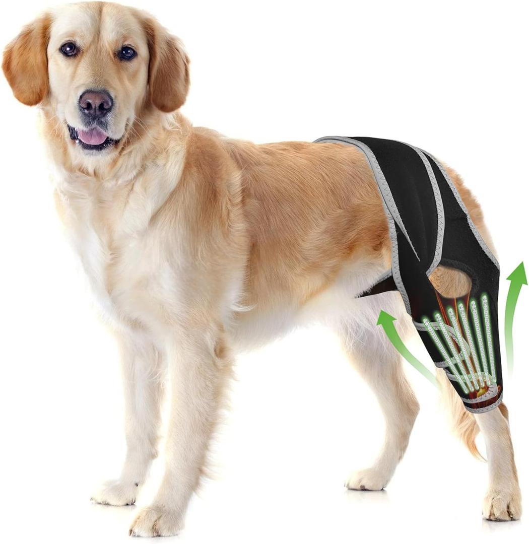 Dog Knee Brace for Back or Front Leg Support, Adjustable ACL Stabilization for Dogs, Helps Protect Joints and Strengthen Weak or Injured Legs Size XXL