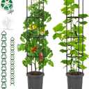 2 Pack Raised Garden Bed Tomato Planter with Trellis, Self Watering Planter Box with Trellis for Climbing Plants Outdoor, PE Coated Metal Tomato Cage Plant Support for Flowers Vegetable Indoor