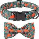 ARING PET Halloween Dog Collar with Bow, Cute Green Pumpkin Leaf Pets Detachable Bow Tie Collars for Puppy Small Medium Large Girl Boy Dogs-M