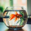 FoldTier 12 Pcs Plastic Fish Bowls for Centerpieces 27 oz Clear Fish Bowl for Drinks Unbreakable Heavy Duty Round Vase for Table Centerpieces Wedding Event Home Decor