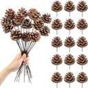 Larber 5pcs Natural Pine Cones Decoration 30CM Pine Cones Ornaments with Stem Pine Cone Picks for Christmas Tree Ornament Vase Party Holiday DIY Craft Home Decoration