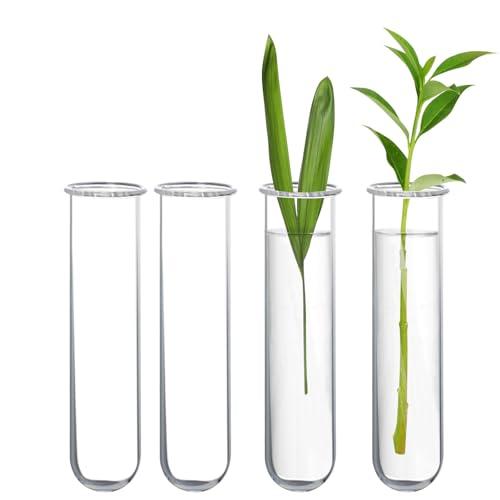 XXXFLOWER Glass Propagation Stations Accessories Glass Test Tubes Tiers Planters Wall Terrarium for Home Office Plant Hanger Flower Vases Wall Decor Hydroponic Cuttings (4 Tube Vases) Clear