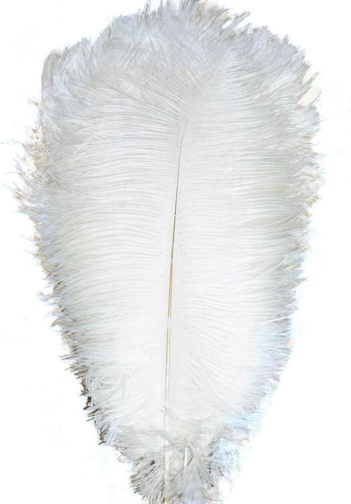 ADAMAI 100PCS Natural 11.8-13.7inch Ostrich Feathers Plume for Wedding Centerpieces Home Decoration (White) ADAMAI 100PCS Natural 11.8-13.7inch Ostrich Feathers Plume for Wedding Centerpieces Home Decoration (White)