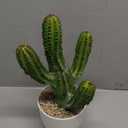 Artificial Cactus 15inch Faux Cactus Fake Succulent Plants for Indoor Outdoor Home Office Garden Decor