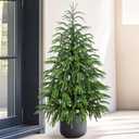 Set of 2 Artificial Norfolk Pine Tree, 4 ft Realistic Christmas Tree, Fake Potted Plants for Front Porch Outdoor Indoor Garden Christmas Decor(2 PCS, 4ft)